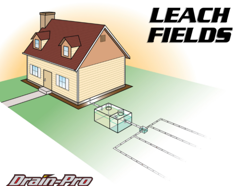 Leach Fields 101: What Every Homeowner Should Know